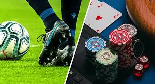 Descubra o Mundo das Apostas com R7Bet