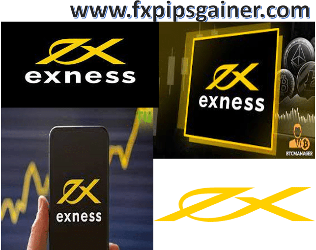 Discover the Features of Exness Trading Platform